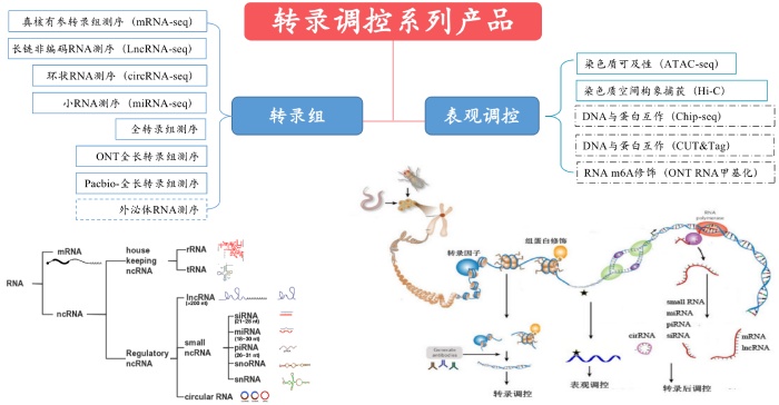 食品SC潔凈車(chē)間凈化工程